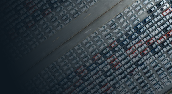 Supply Chain SoftwareOrigin Inspection